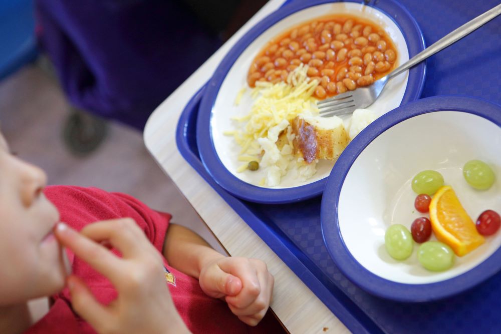 A growing number of Labour MPs including two former front benchers have called on the government to introduce universal free school meals for primary school children.